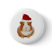 Porco-guineense em Papais noeis