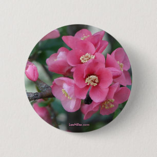 Bóton Redondo 5.08cm Primavera cor-de-rosa, Flores de Flor