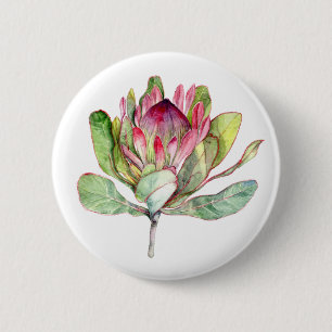 Bóton Redondo 5.08cm Protea Flor