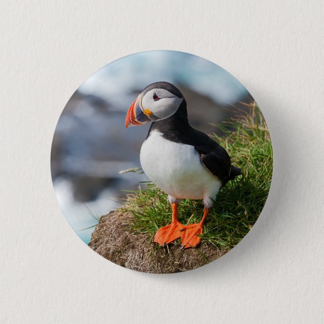 Bóton Redondo 5.08cm Puffin Fratercula Arctica (Frente)