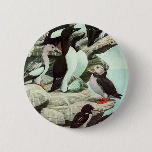 Bóton Redondo 5.08cm Puffins e Aves Aquáticas Antigas por Louis Fuertes