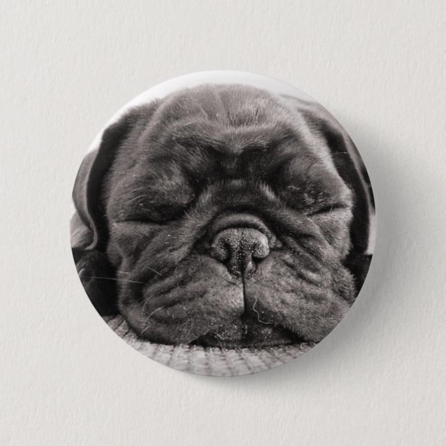 Bóton Redondo 5.08cm Pug preto (Frente)