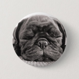 Bóton Redondo 5.08cm Pug preto