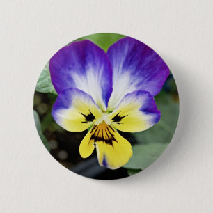 Bóton Redondo 5.08cm Purple Pansy