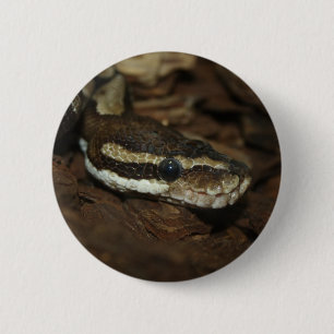 Bóton Redondo 5.08cm Python Marrom