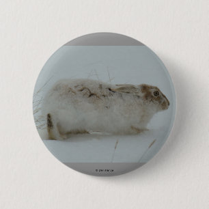 Bóton Redondo 5.08cm R7 Lebre-da-neve Pronta para Correr