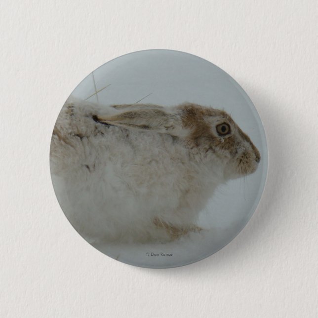 Bóton Redondo 5.08cm R7 Neve Hare Pronto para Executar (Frente)