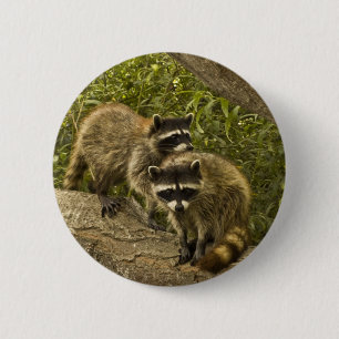 Bóton Redondo 5.08cm Raccoons