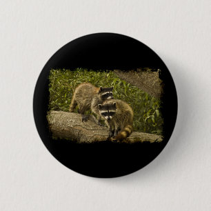 Bóton Redondo 5.08cm Raccoons