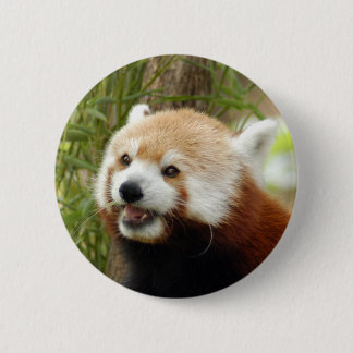 Bóton Redondo 5.08cm red-panda-033