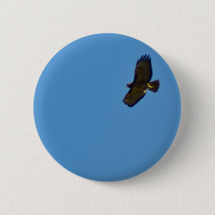 Bóton Redondo 5.08cm Red Tailed Hawk em Voo