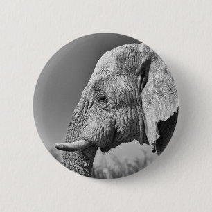 Bóton Redondo 5.08cm Retrato elefante