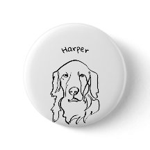 Retriever de Ouros Seriamente Graves em Paw