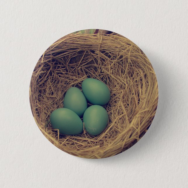 Bóton Redondo 5.08cm Robin Nest e Ovos (Frente)