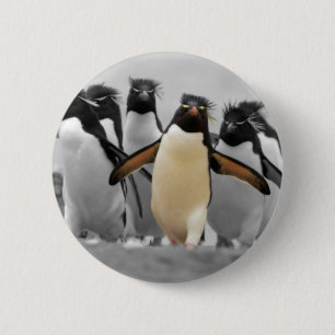 Bóton Redondo 5.08cm Rockhopper Penguins