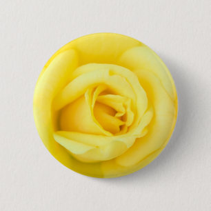 Bóton Redondo 5.08cm Rosa amarelo