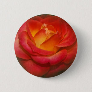 Bóton Redondo 5.08cm Rosa de chamamento no pergaminho