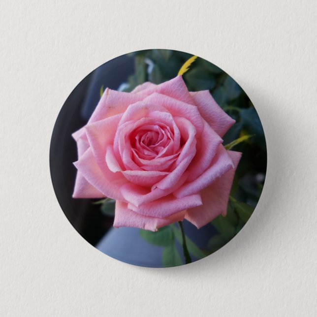 Bóton Redondo 5.08cm Rosa rosa cheia (Frente)