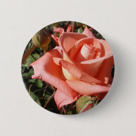 Bóton Redondo 5.08cm Rosa Rosa Peachada