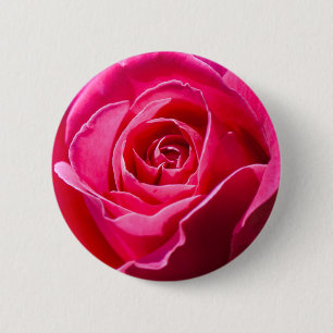 Bóton Redondo 5.08cm Rosa vermelha crescendo em um jardim