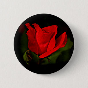 Bóton Redondo 5.08cm rosa vermelha - Paixão Escura