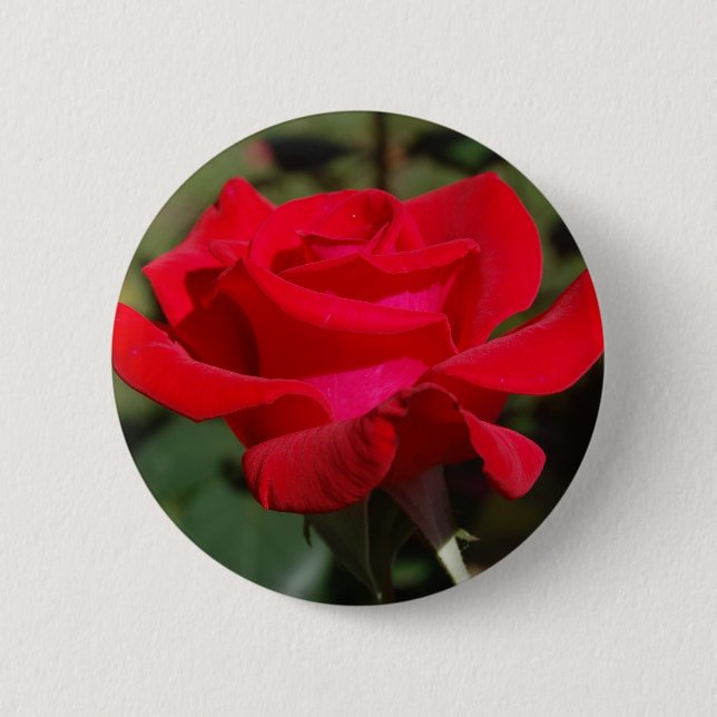 Bóton Redondo 5.08cm Rose03 (Frente)