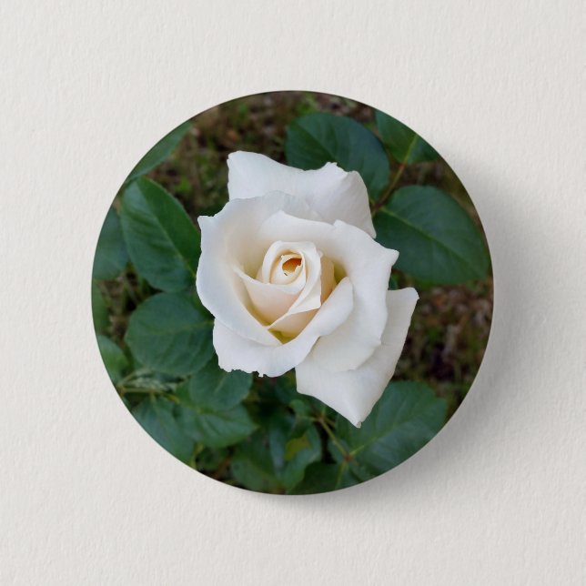 Bóton Redondo 5.08cm rosebusto branco (Frente)