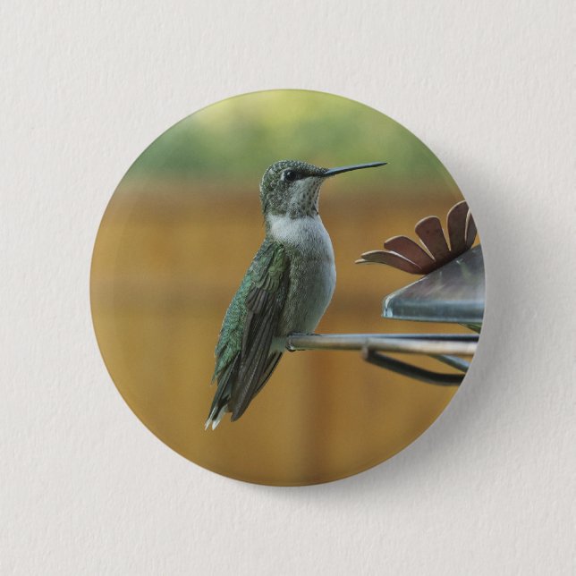 Bóton Redondo 5.08cm Ruby Throated Hummingbird (Frente)
