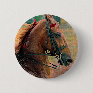 Bóton Redondo 5.08cm Saddlebred Faux Painting