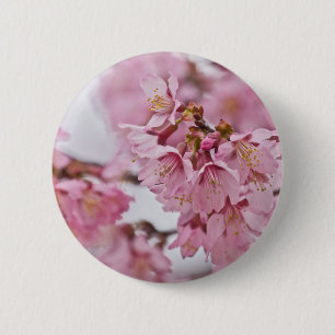 Bóton Redondo 5.08cm Sakura Cherry Blossoms Rosa Pálido