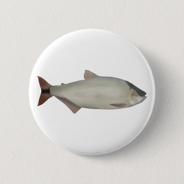 Bóton Redondo 5.08cm Salmão de rio (Frente)