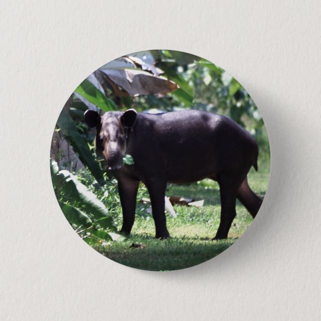 Bóton Redondo 5.08cm salvar o Tapir (Frente)
