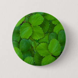 Bóton Redondo 5.08cm Santo Basil Tulsi Green Mint Folhas
