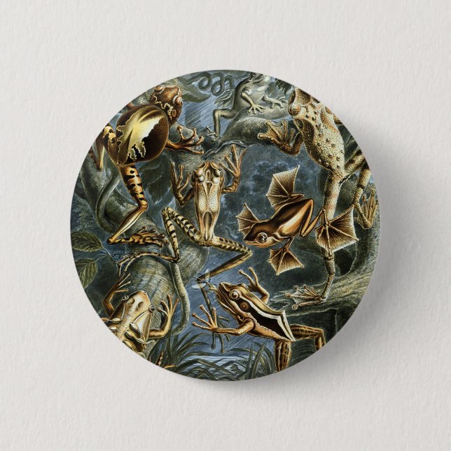 Bóton Redondo 5.08cm Sapos (Frente)