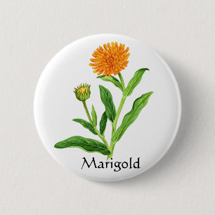 Bóton Redondo 5.08cm Série Herb Garden - Marigold