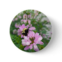 Snack no início da tarde