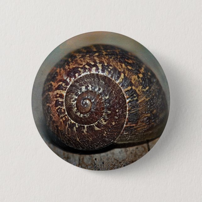 Bóton Redondo 5.08cm Snail Shell (Frente)