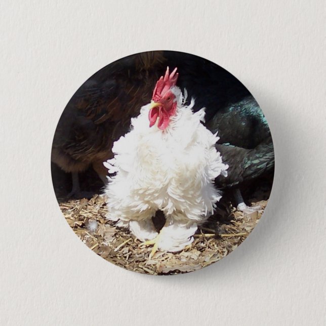 Bóton Redondo 5.08cm Snowball (Frente)