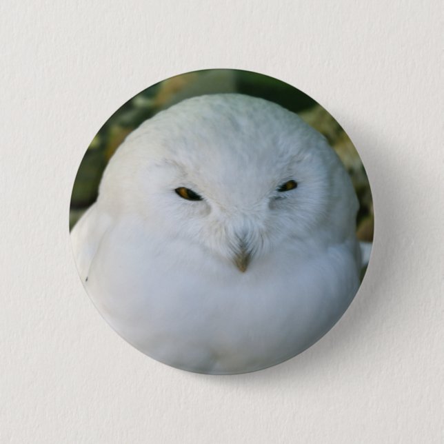 Bóton Redondo 5.08cm Snowy Owl (Frente)