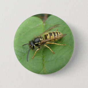 Bóton Redondo 5.08cm Sobrevoo num Botão Folha