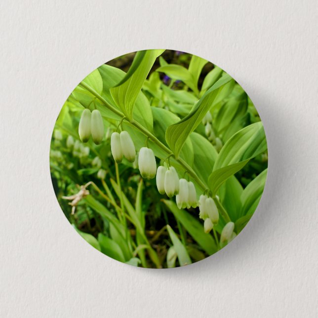 Bóton Redondo 5.08cm Solomons Crachá de focas (Frente)