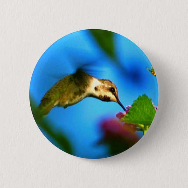 Bóton Redondo 5.08cm Sorver do colibri (Frente)