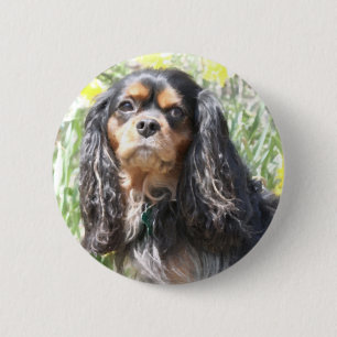 Bóton Redondo 5.08cm Spaniel de rei Charles descuidado pintado