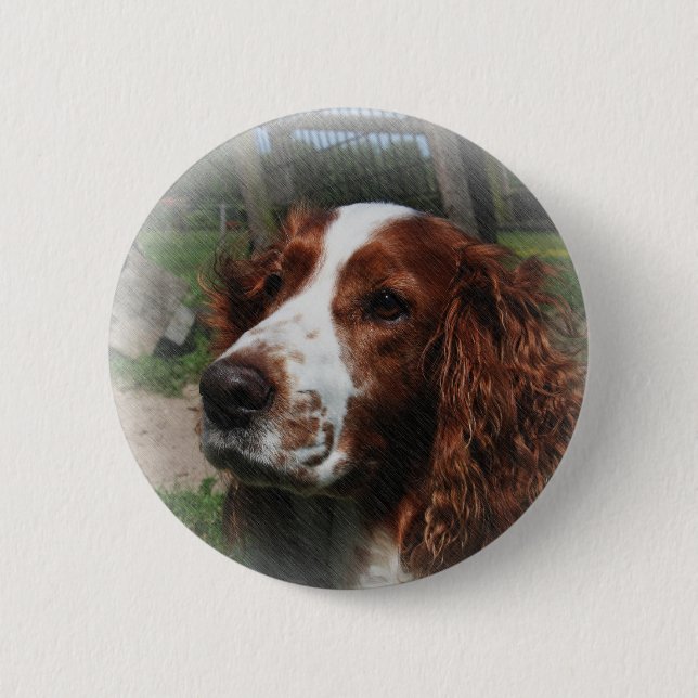 Bóton Redondo 5.08cm Springer Spaniel Dog Art (Frente)