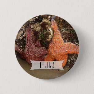 Bóton Redondo 5.08cm Starfish/Sea Star Fotografia Colorida Personalizad