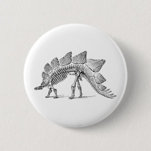 Bóton Redondo 5.08cm Stegossauro Dinossauro Esqueleto Fóssil