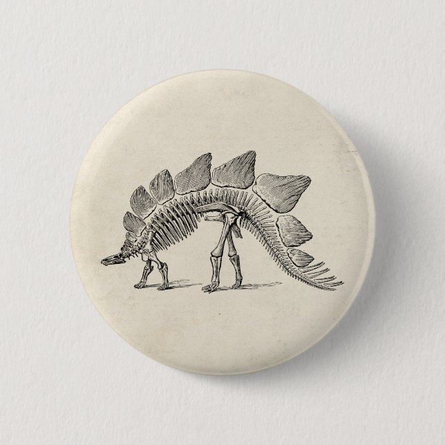 Bóton Redondo 5.08cm Stegossauro Dinossauro Esqueleto Fóssil (Frente)