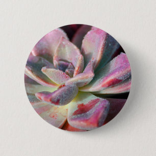 Bóton Redondo 5.08cm Succulent cor-de-rosa