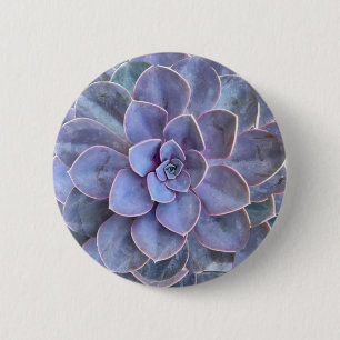 Bóton Redondo 5.08cm Suculentos De Echeveria Roxo