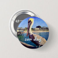 Sun Day Ocean Beach Pier Pelican Bird Fotografia C
